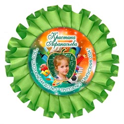 Наградная розетка именная. Арт. 9 6736 6736