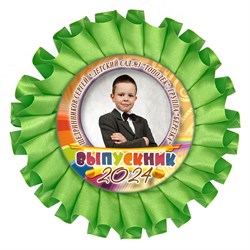 Наградная розетка именная. Арт. 13 6740 6740