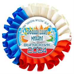 Наградная розетка именная. Арт. 18 6745 6745
