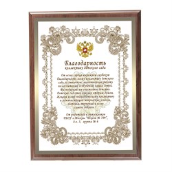 Плакетка Коллективу детского сада. Арт. 6809 6809