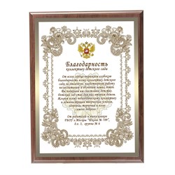 Плакетка для музыкального руководителя. Арт. 6811 6811