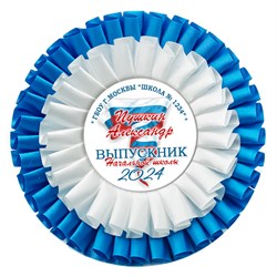 Розетка двухрядная. Выпускник 4 класса. Арт.6950 6950