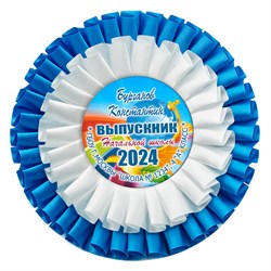 Розетка двухрядная. Выпускник 4 класса. Арт. 6953 6953