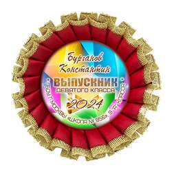 Розетка Premium. Выпускник 9 класса. Арт. 7294 7294