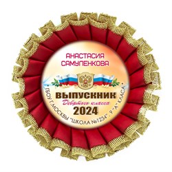 Розетка Premium. Выпускник 9 класса. Арт. 7297 7297