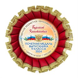 Розетка Premium. Выпускник 9 класса. Арт. 7298 7298