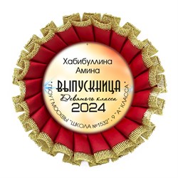 Розетка Premium. Выпускник 9 класса. Арт. 7300 7300