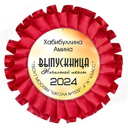 Наградная розетка именная. Арт. 7053 7053
