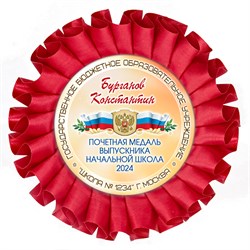 Наградная розетка именная. Арт. 7060 7060
